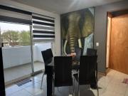 DEPARTAMENTO BIEN UBICADO DENTRO DE FRACC. CON ÁREA...