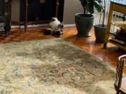 Departamento Venta, Col. Lomas Altas