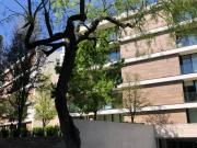 Departamento Col. Del Valle DV XQFET
