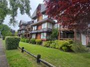 DEPARTAMENTO CON UBICACION PRIVILEGIADA 3D 2B PUCON