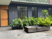 DEPARTAMENTO CON USO DE SUELO, COLONIA ALFONSO XIII DEPARTAMENTO CON USO DE SUELO, COLONIA ALFONSO XIII