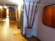 Departamento Congreso