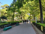 Departamento de 2 ambientes en Alquiler en Almagro