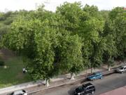 DEPARTAMENTO DE 3 AMB RECICLADO FRENTE A LA PLAZA