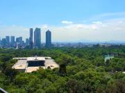 DEPARTAMENTO DE SUPER LUJO EN POLANCO FRENTE A BOSQUE DE...
