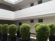 Departamento de venta en Cumbayá Departamento de venta en Cumbayá