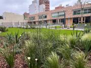 Departamento Dorrego 1954