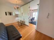 DEPARTAMENTO DOS AMBIENTES PUERTO MADERO ALQUILER TEMPORAL