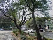 Departamento duplex de lujo en preventa en Campos Eliseos