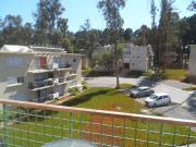 Departamento en Algarrobo