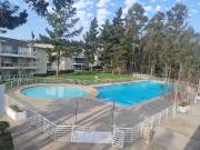 Departamento en Algarrobo