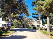 Departamento en Algarrobo