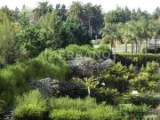 Departamento en Alquiler 2 ambientes muy luminoso en El...