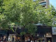 Departamento en Alquiler Capital Mendoza