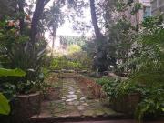 Departamento en alquiler en Centro / Microcentro