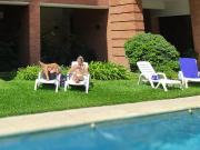 Departamento en alquiler en Nuñez