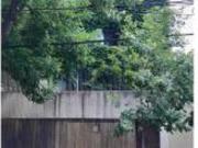 Departamento en Alquiler temporario Chacarita CABA