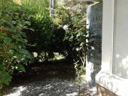 Departamento en Alquiler Zona Nayades