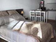Departamento en ALQUILER ZONA RIO! EXCELENTE LOFT AMUEBLADO!