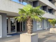 DEPARTAMENTO EN ARRIENDO Edificio Maringá City Home