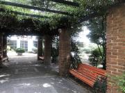 Departamento en Arriendo en 3 Dormitorios con...