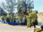 Departamento en Arriendo en Avda. Los Sargazos, Jardín...