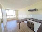 Departamento en Arriendo en Buzo Sobenes