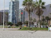 Departamento en Arriendo en CAVANCHA