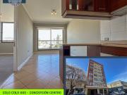 Departamento en Arriendo en Colo colo 660