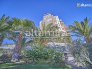 Departamento en Arriendo en Edificio Araucaria