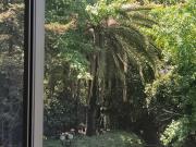 Departamento en arriendo en LAS CONDES