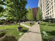 Departamento en Arriendo en Padre Miguel de Olivares