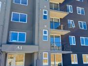 Departamento en arriendo en PITRUFQUÉN