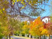 Departamento en Arriendo en Santa Ines