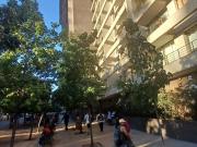 Departamento en Arriendo en Santiago 1 dormitorio 1 baño Departamento en Arriendo en Santiago 1 dormitorio 1 baño