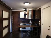 Departamento en Arriendo en Santiago 1 dormitorio 1 baño