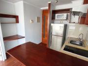 Departamento en Arriendo en Santiago 1 dormitorio 1 baño