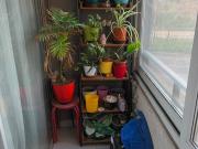 Departamento en Arriendo en Santiago 2 dormitorios 2 baños