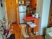 Departamento en arriendo en SANTIAGO