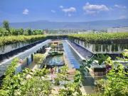 Departamento en Averanda Residencial: Jardín Privado,...