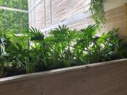 Departamento en Circuito Interior Melchor Ocampo