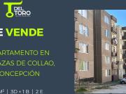 Departamento en Concepción