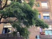 Departamento en ? Donde cada día empieza cerca de todo,...