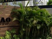 DEPARTAMENTO EN FRACCIONAMIENTO EN C. 20, MONTEBELLO,...