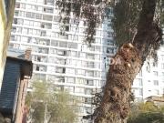 Departamento en Independencia