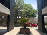 DEPARTAMENTO EN LA PAZ RENTA $20,000.00 con...