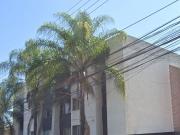 DEPARTAMENTO EN MARIANO OTERO, ARBOLEDAS