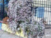 Departamento en Microcentro