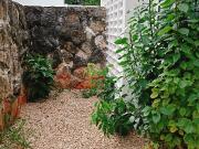 departamento en planta baja en colonia campestre