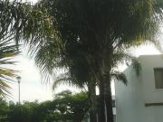 DEPARTAMENTO EN PLANTA BAJA PASEOS DEL BOSQUE